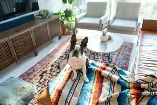 Condo-Movers--in-Snellville-Georgia-condo-movers-snellville-georgia.jpg-image