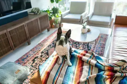 Condo-Movers--in-Winston-Georgia-condo-movers-winston-georgia.jpg-image